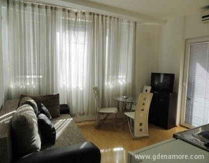 Jednosoni stan u Budvi izdajemo, частни квартири в града Budva, Черна Гора - t4 (4)